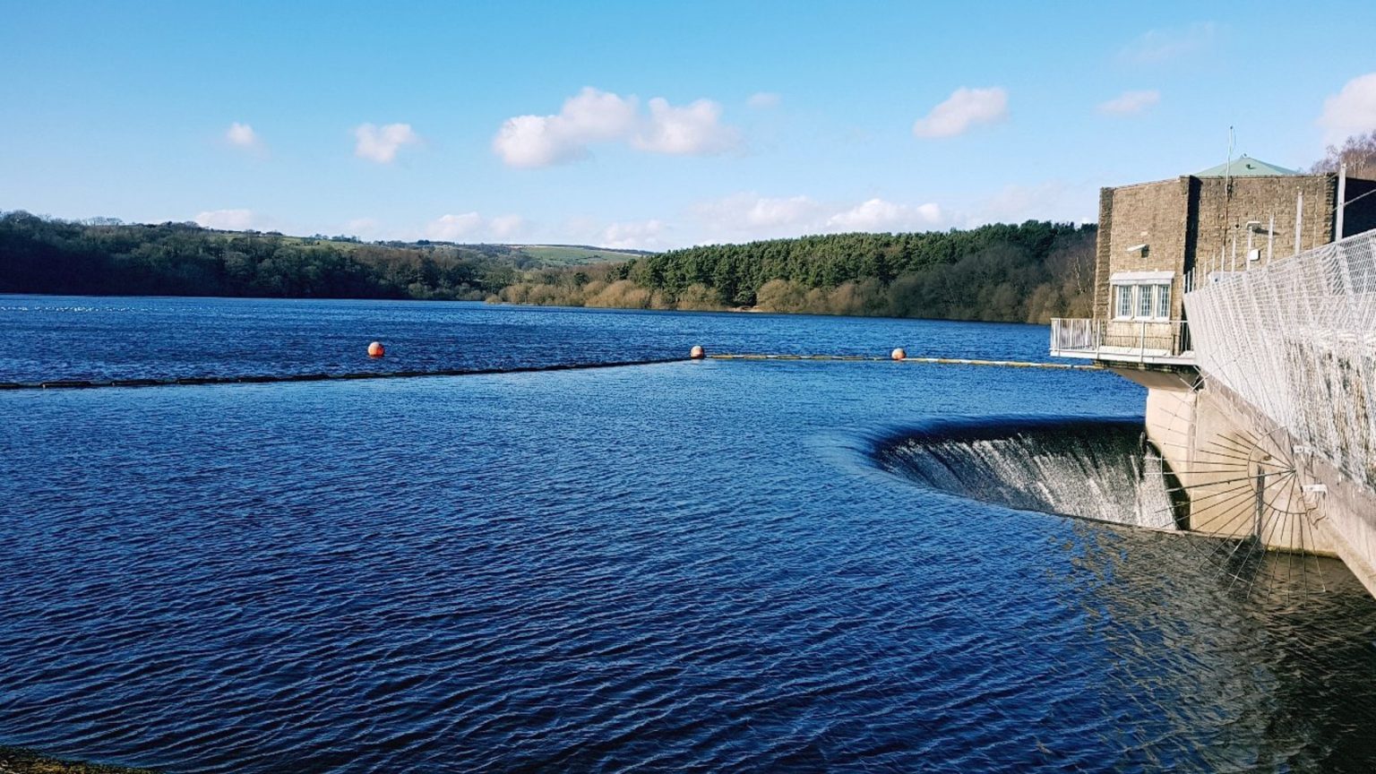 Tittesworth Water obtiene la acreditación Biodiversity Benchmark, la más extensa para un embalse en el Reino Unido
