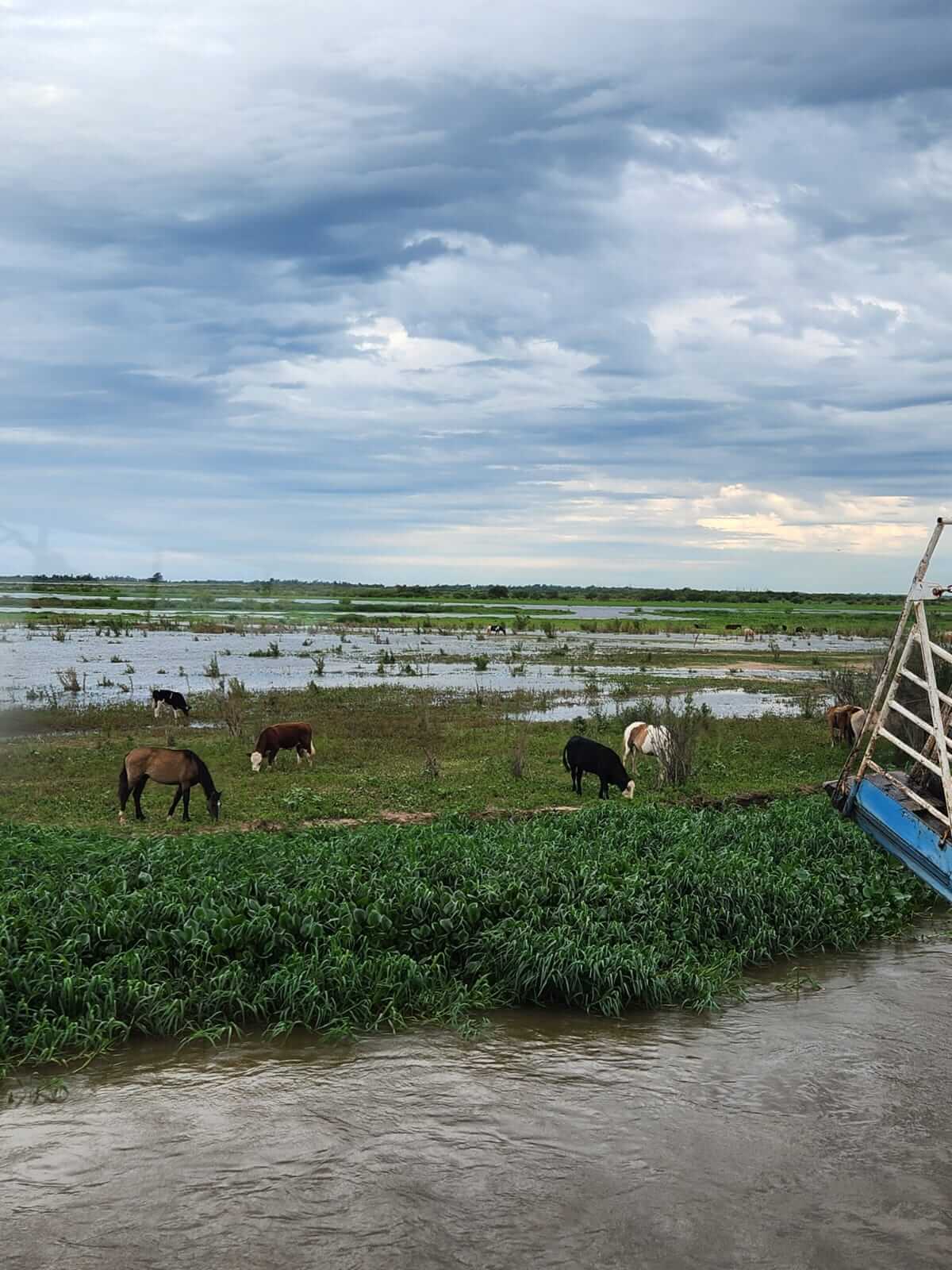 Super Niño 2026: alerta máxima en Argentina por una posible crecida sin precedentes en el río Paraná