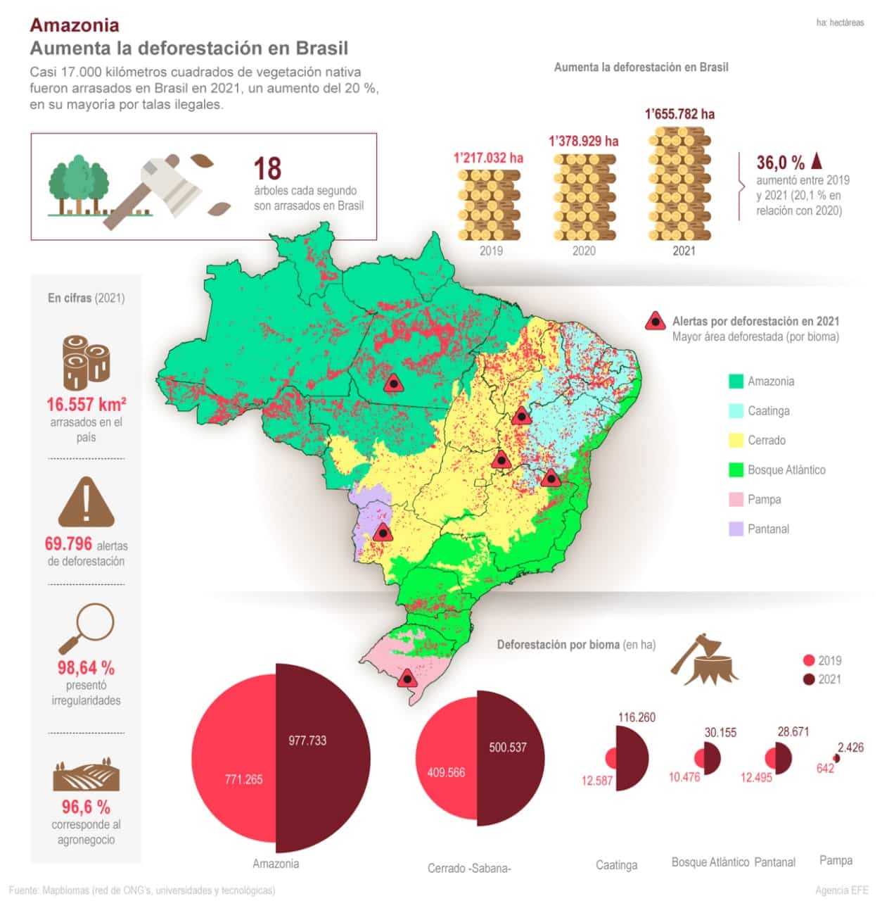 Las alertas de deforestación en la Amazonía brasileña cayeron 36,87%, pero el mapa sigue siendo desigual