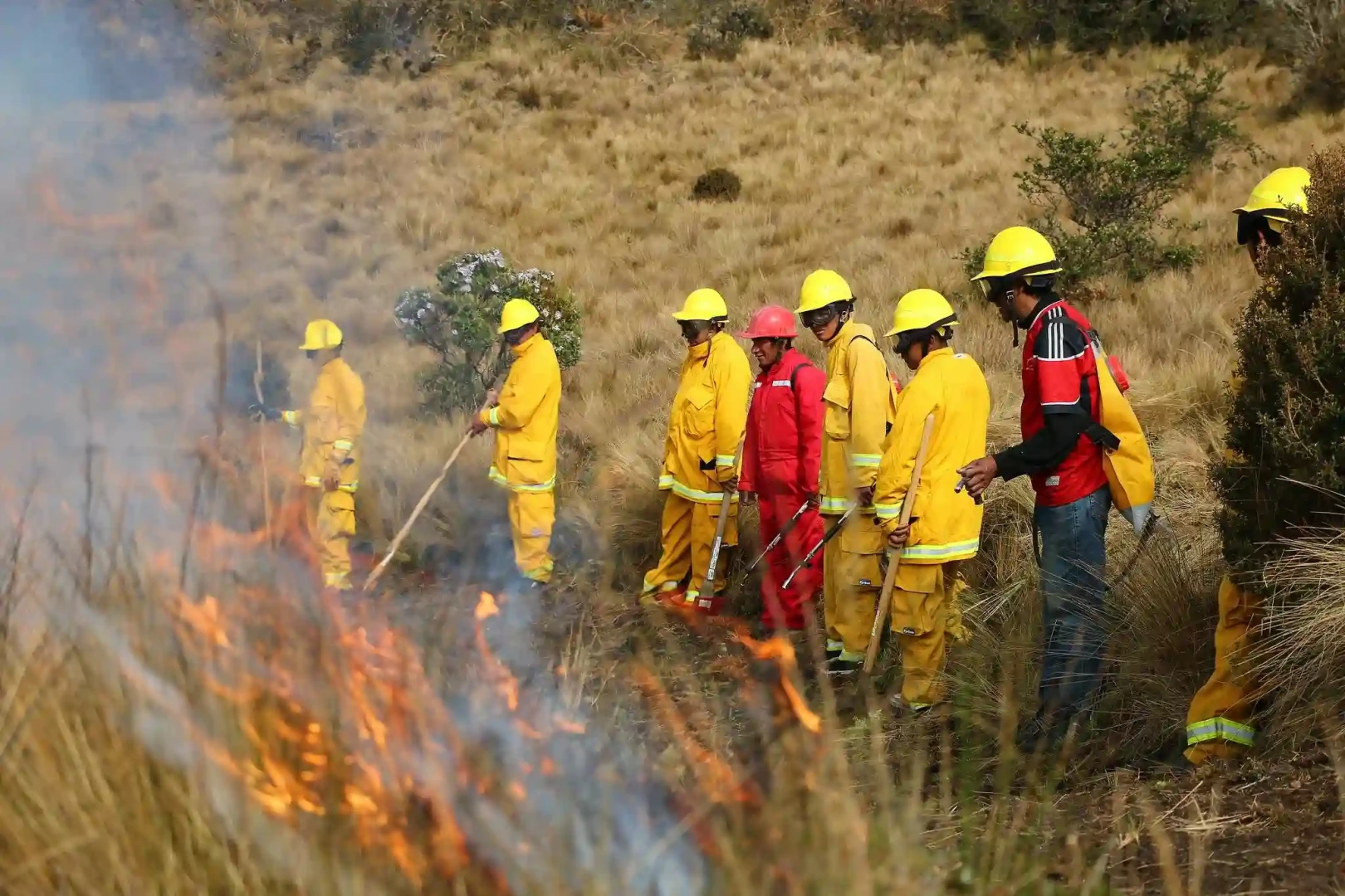 Perú extinguió seis incendios forestales, pero la emergencia dejó al menos 135 hectáreas afectadas