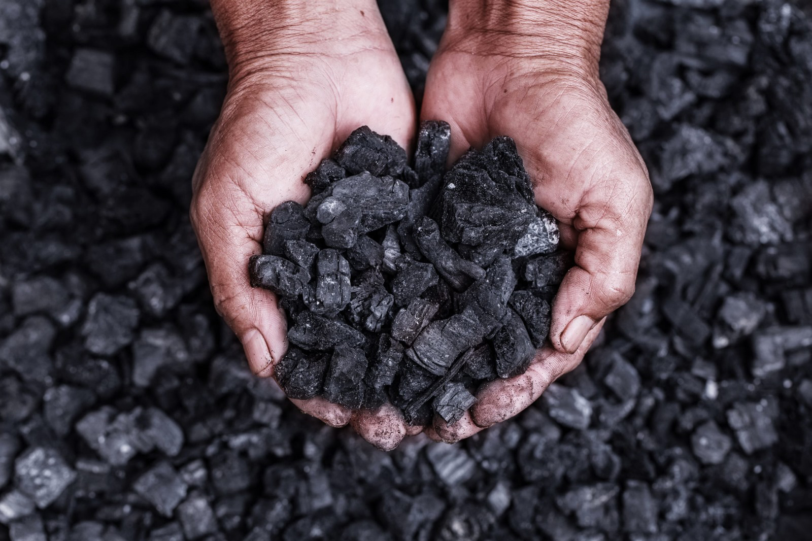 ProClime y Cadira buscan USD 10 millones para siete plantas de biochar en India