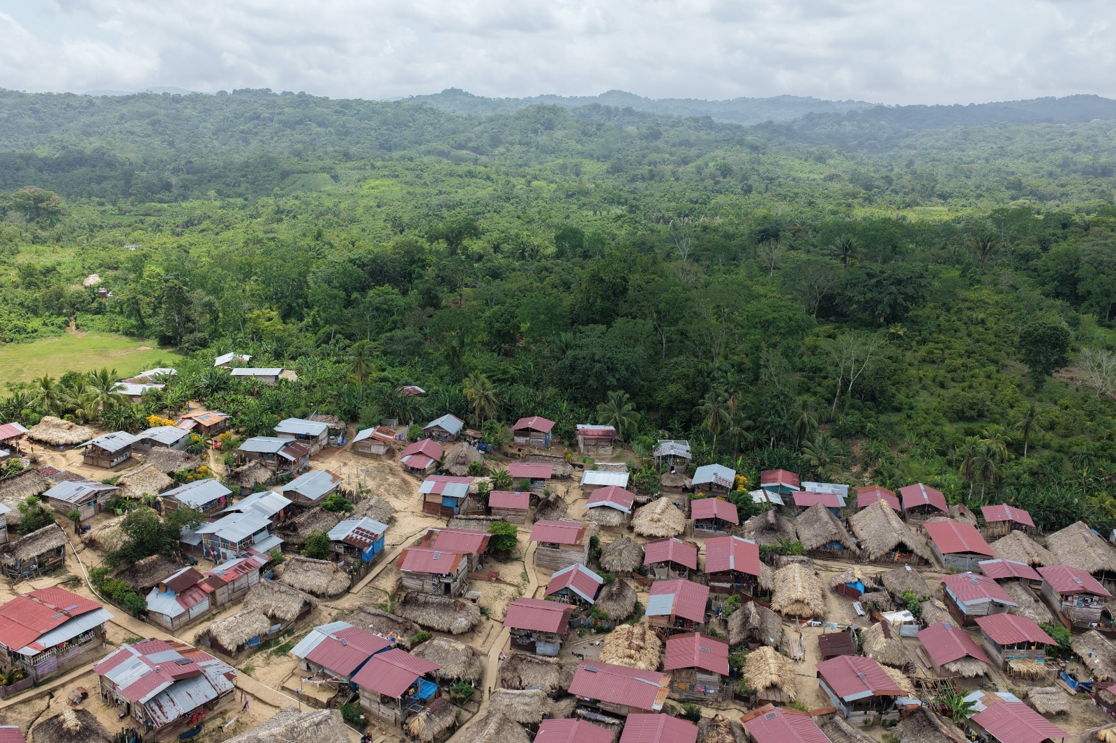Wargandí abre una alianza de cinco años para conservar los bosques del Darién