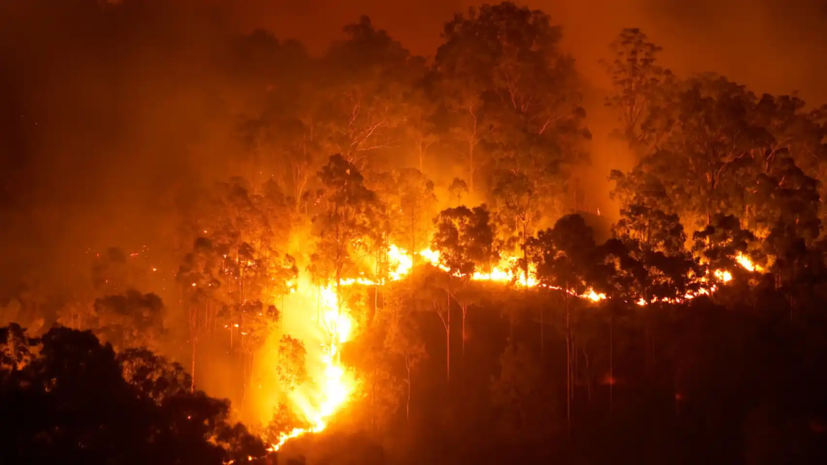 Colombia enfrenta una temporada atípica de incendios y pide diagnosticar antes de restaurar