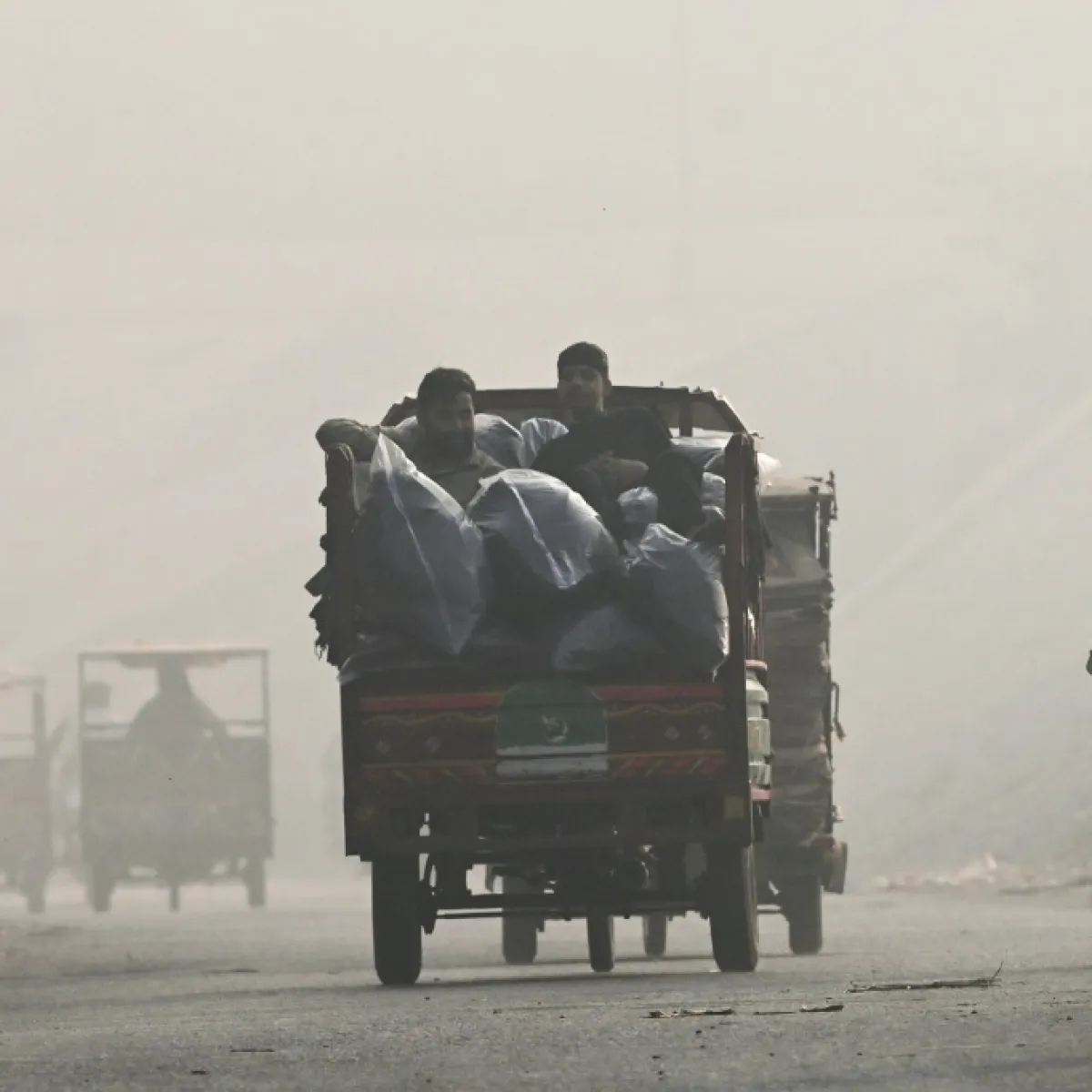 El smog de Punjab amenaza a la fauna en medio de un vacío crítico de monitoreo